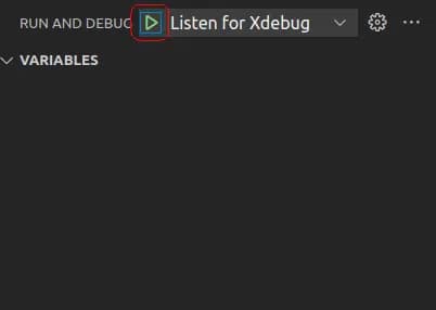 Run debug server