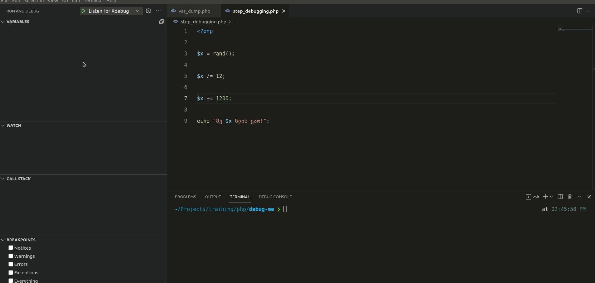 Step Debugging